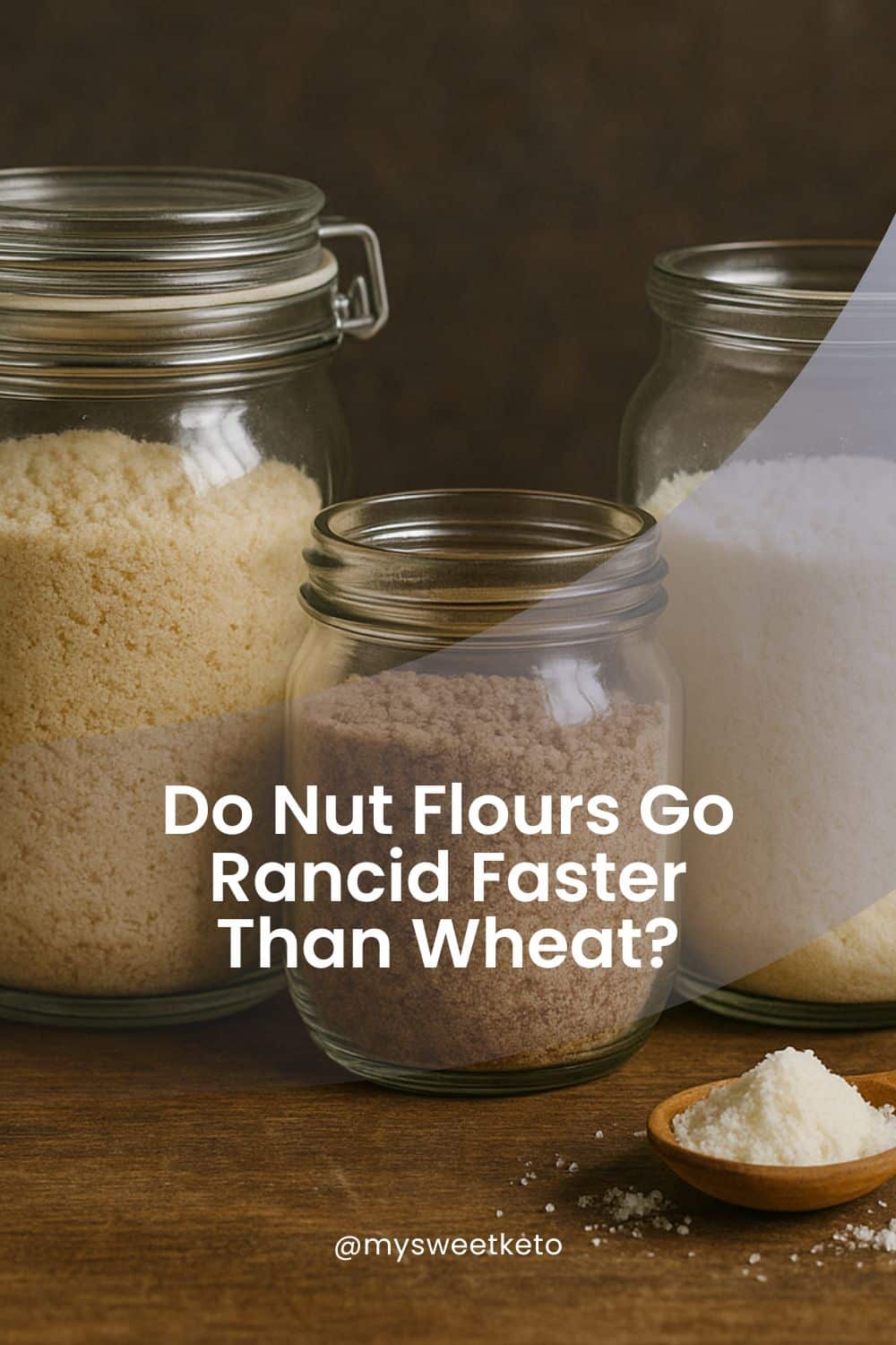 Three different glass jars filled with almond, hazelnut, and coconut flour on a rustic wooden surface—used to illustrate proper storage of nut flours.